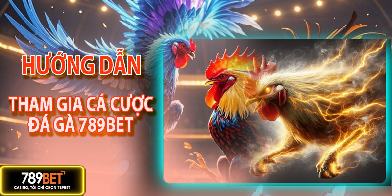 Hướng dẫn tham gia cá cược đá gà tại 789BET