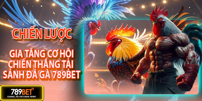 Chiến lược tăng hội thắng cược tại sảnh đá gà