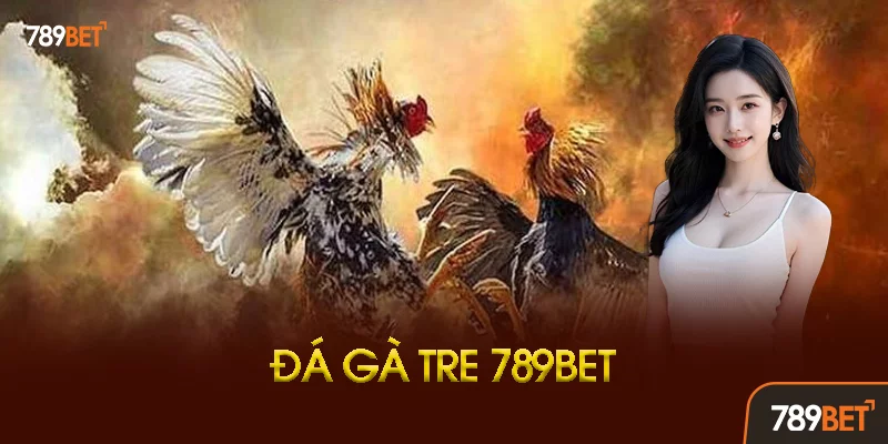 Đá Gà Tre Là Gì? Tại Sao Lại Được Ưa Chuộng? Đá Gà Tre Là Gì? Tại Sao Lại Được Ưa Chuộng?