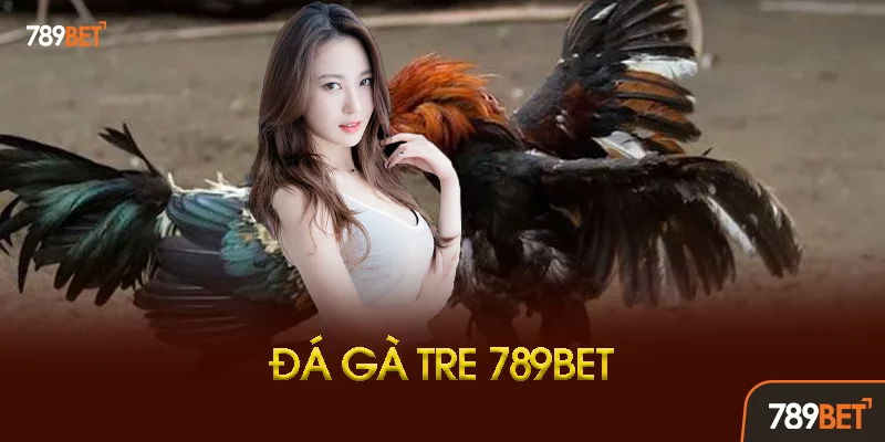 Lịch Thi Đấu Đá Gà Tre 789BET Lịch Thi Đấu Đá Gà Tre 789BET