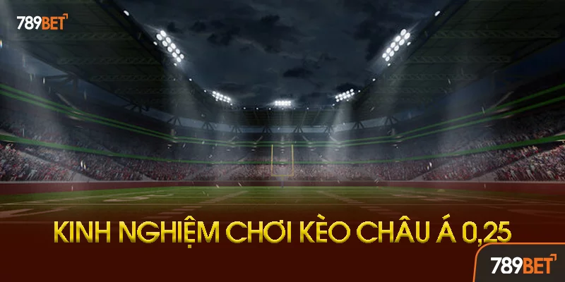 Chiến Thuật Chiến Thuật "Phân Tích Động Lực Thi Đấu"