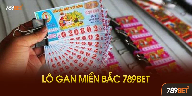 Cách Tính Vốn Nuôi Lô Gan Miền Bắc Khoa Học Cách Tính Vốn Nuôi Lô Gan Miền Bắc Khoa Học