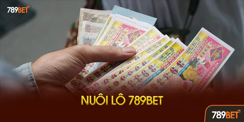 Kinh Nghiệm Nuôi Lô Theo Từng Miền