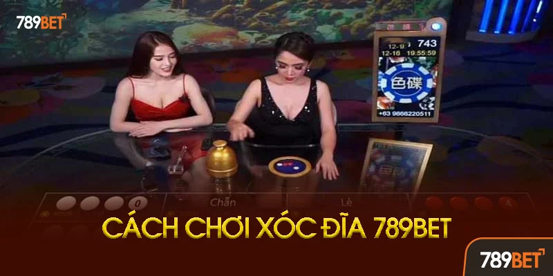 Luật chơi xóc đĩa 789BET chi tiết cho người mới Luật chơi xóc đĩa 789BET chi tiết cho người mới
